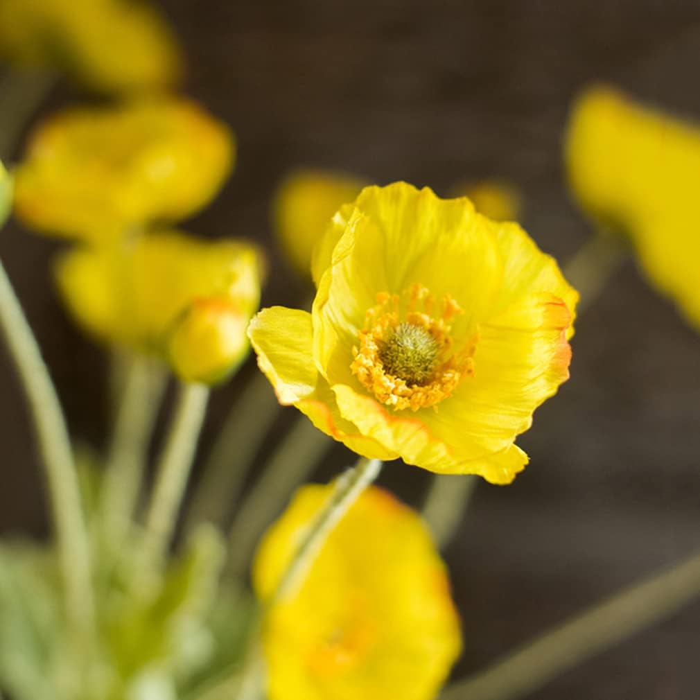 DUYONE Artificial Flowers 6 Stems Poppy Silk Bouquet,for Wedding, Home, Party Decoration,Table Centerpiece Arrangement(Orange Pink 6pcs)