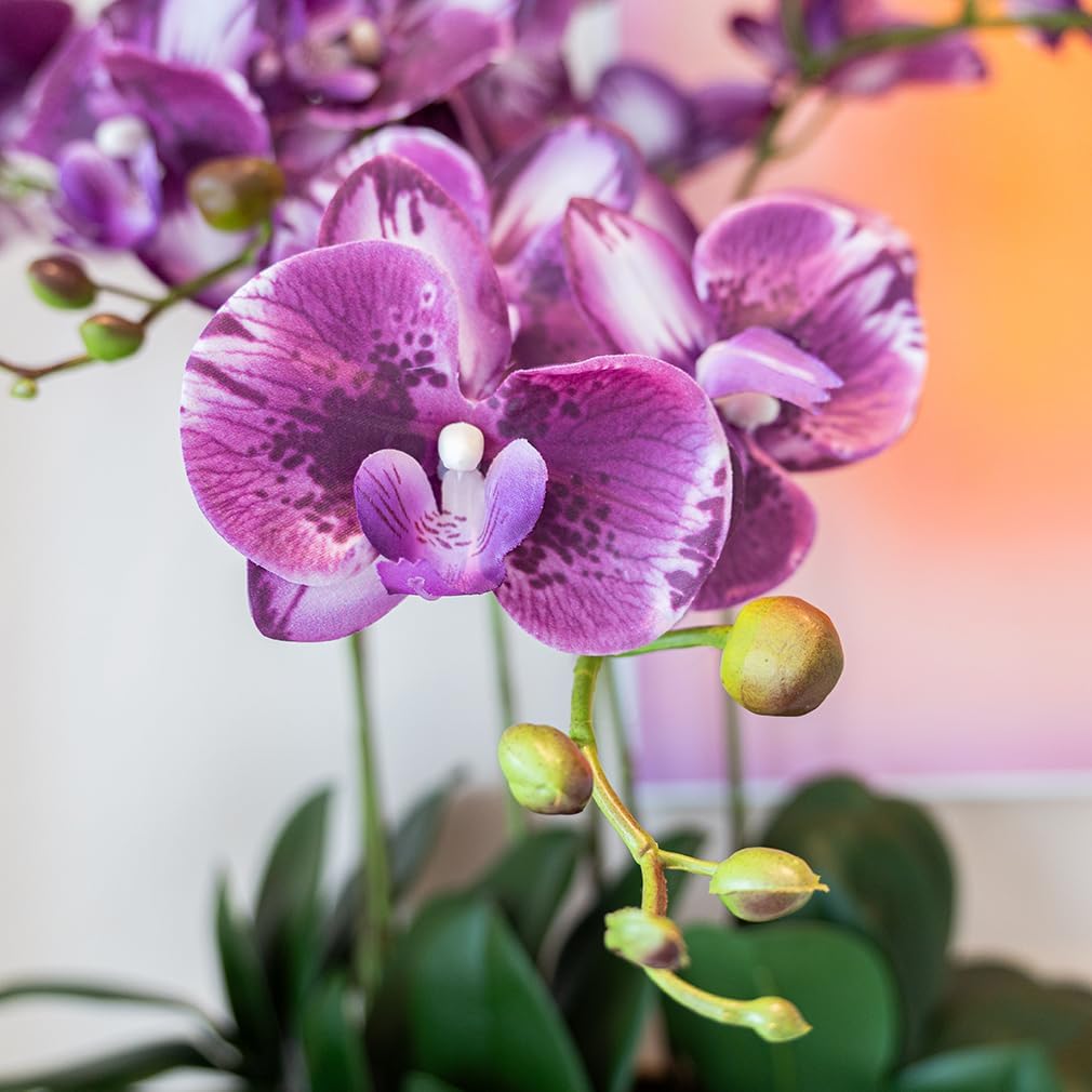 DUYONE 35 Inch Artificial Butterfly Orchid Flowers 4 Pcs with 4 Bundles Leaves Artificial Orchid Flowers Stem Plants for Home Décor (Light Purple 4pcs)