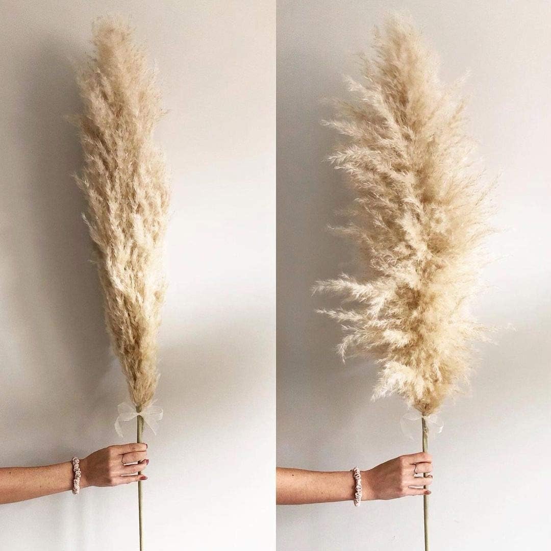 NaturalNH Large Pampas Grass - 3 Stems White Natural Dried Artificial Pampas Grass, 120 cm Fluffy Reed Bouquet, Suitable for Wedding and Boho Home Decor