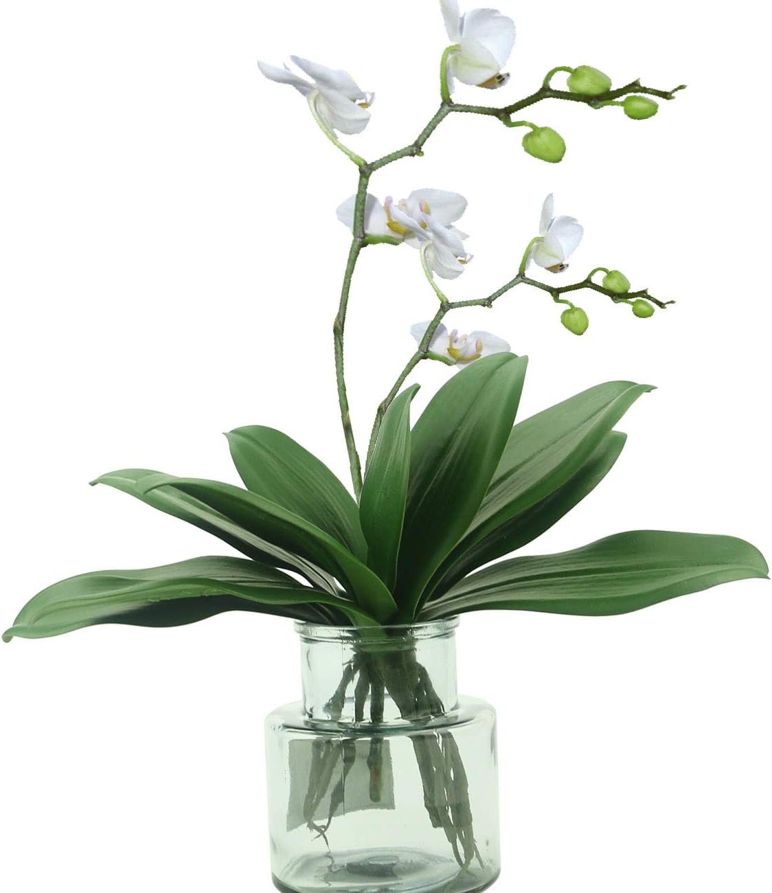Tinsow Artificial Green Phalaenopsis Simulation Moth Orchid Leaf Real Latex Touch Green Plant for Flowers Garden Bonsai Decor (5, 9.5"/5 Leaves)