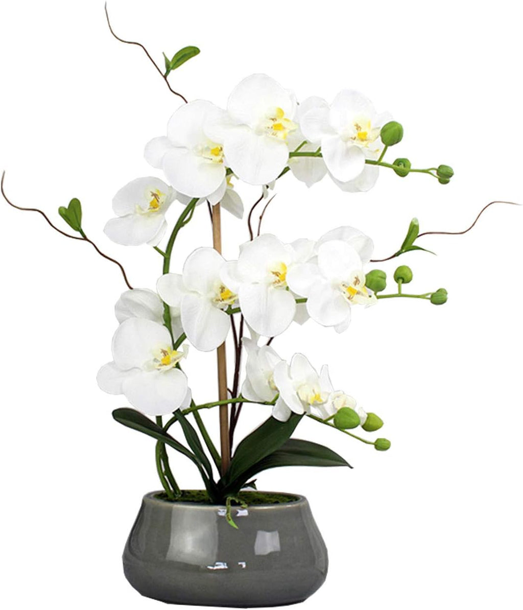 Tinsow Artificial Green Phalaenopsis Simulation Moth Orchid Leaf Real Latex Touch Green Plant for Flowers Garden Bonsai Decor (5, 9.5"/5 Leaves)