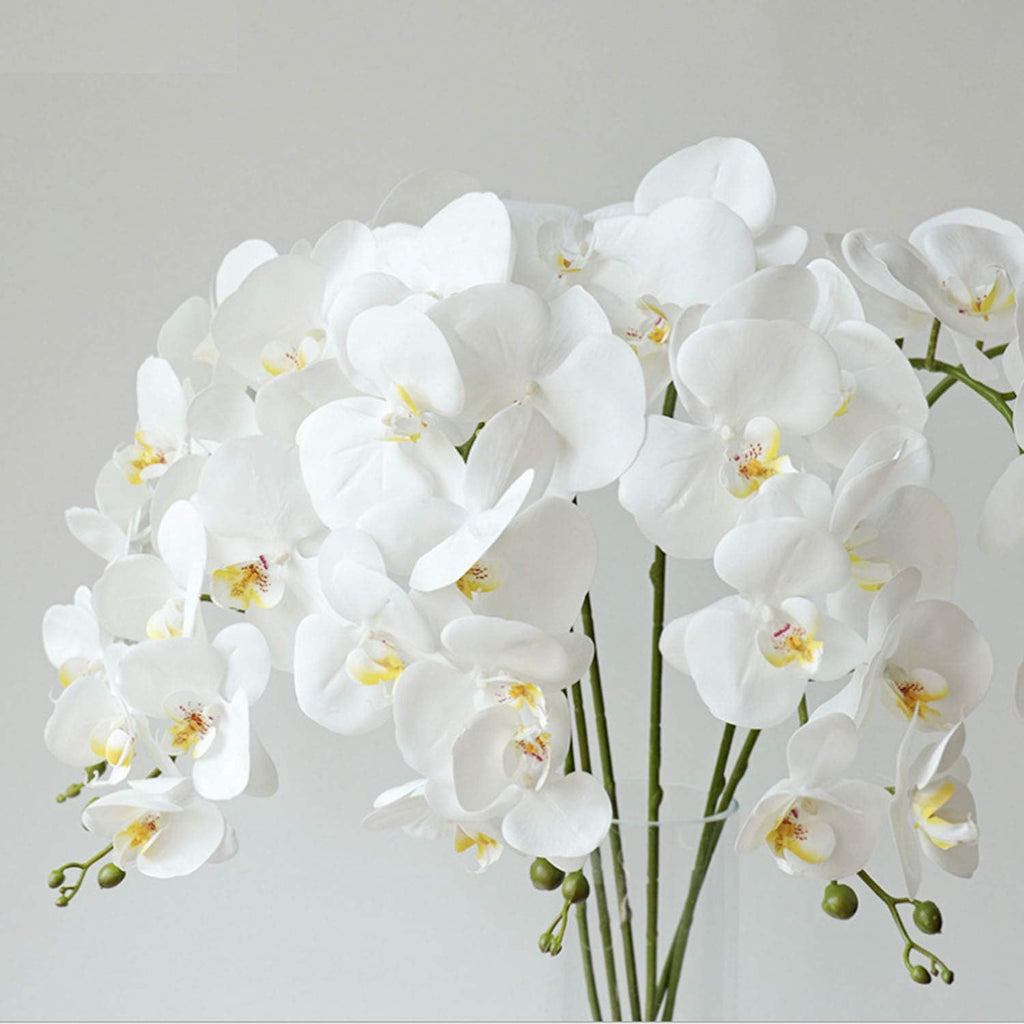 FagusHome 32 Inches Artificial Phalaenopsis Flowers 4 Pcs with 2 bundles Leaves Artificial Orchid Flowers Stem Plants for Home Décor (White)