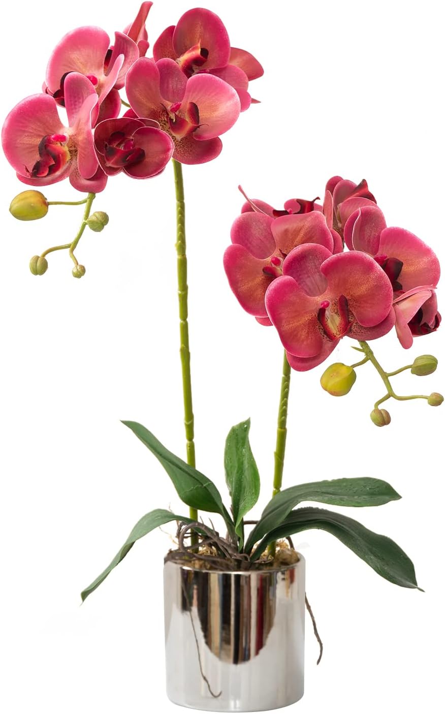 Artificial Orchid Flowers White Faux Orchids with Ceramic Vase Vivid Fake Phalaenopsis Flower Arrangement Gorgeous Artificial Plants for Office Desk Wedding Party Exhibition Center & Home Table Decor