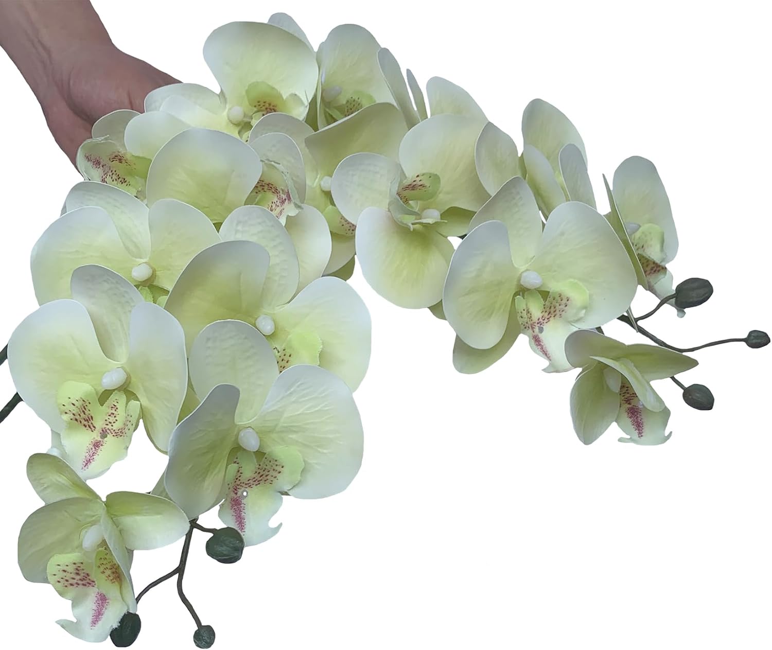 FagusHome 32" Artificial Phalaenopsis Flowers 6 Pcs with 4 Bundles Leaves Artificial Orchid Flowers Stem Plants for Home Décor (6Pcs)