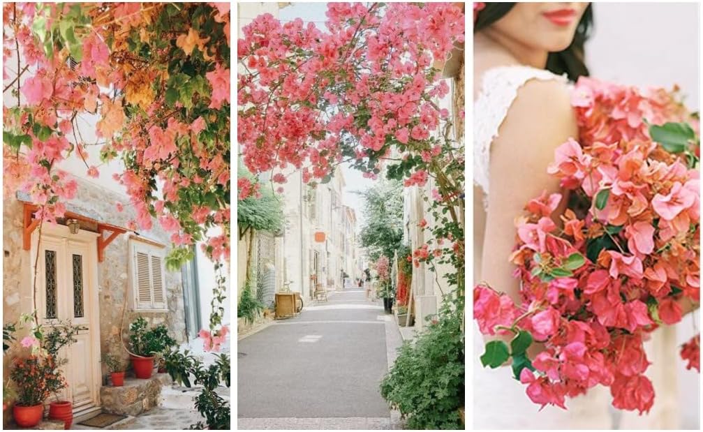 Artificial Flowers Silk Bougainvillea Branches Faux Artificial Bougainvillea Floral Stems Long Plant Branches 45" for Wedding Centerpieces, Table Runner, Home Decoration (White - Pack of 4pcs)