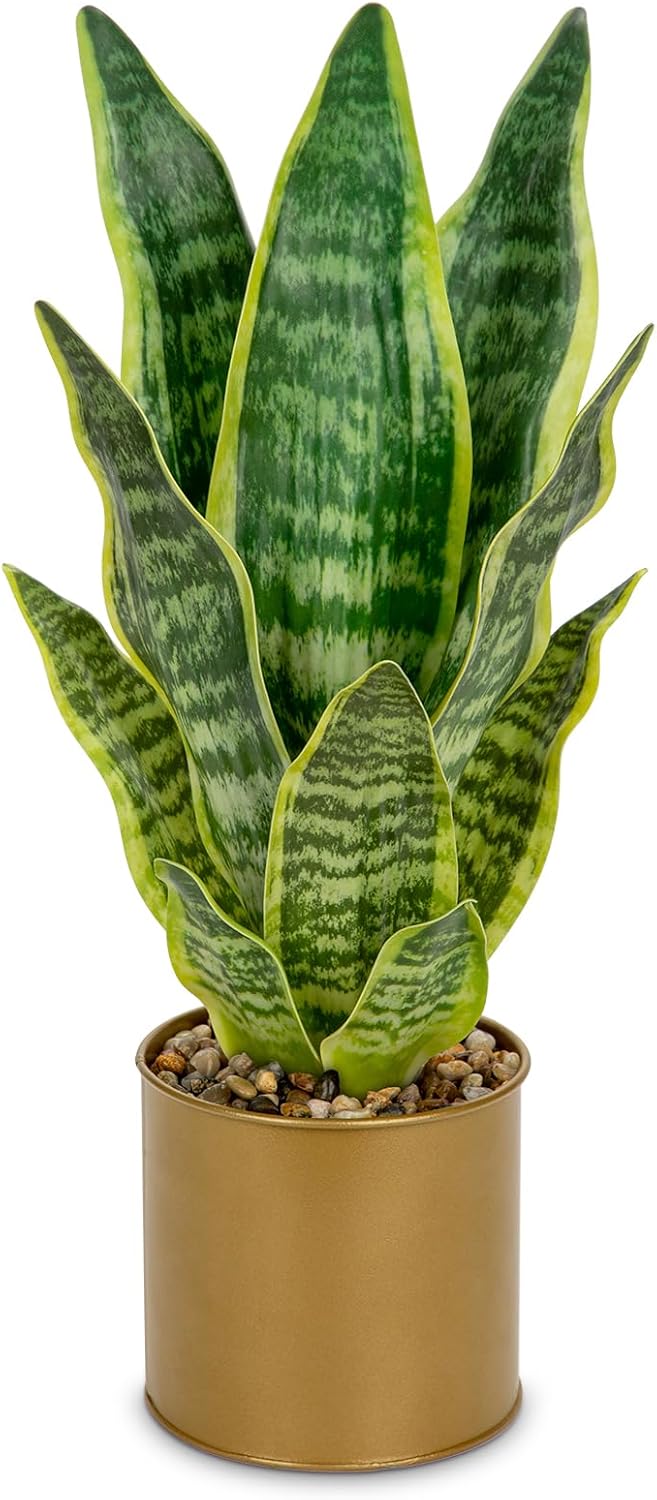 Oairse Sansevieria Artificial Plant in Ceramic Pot, Small Indoor Plant, Artificial Snake Plant, Artificial Plants Like Real, Perfect for Bathroom, Bedroom, Home, Office Decoration, Height 33 cm