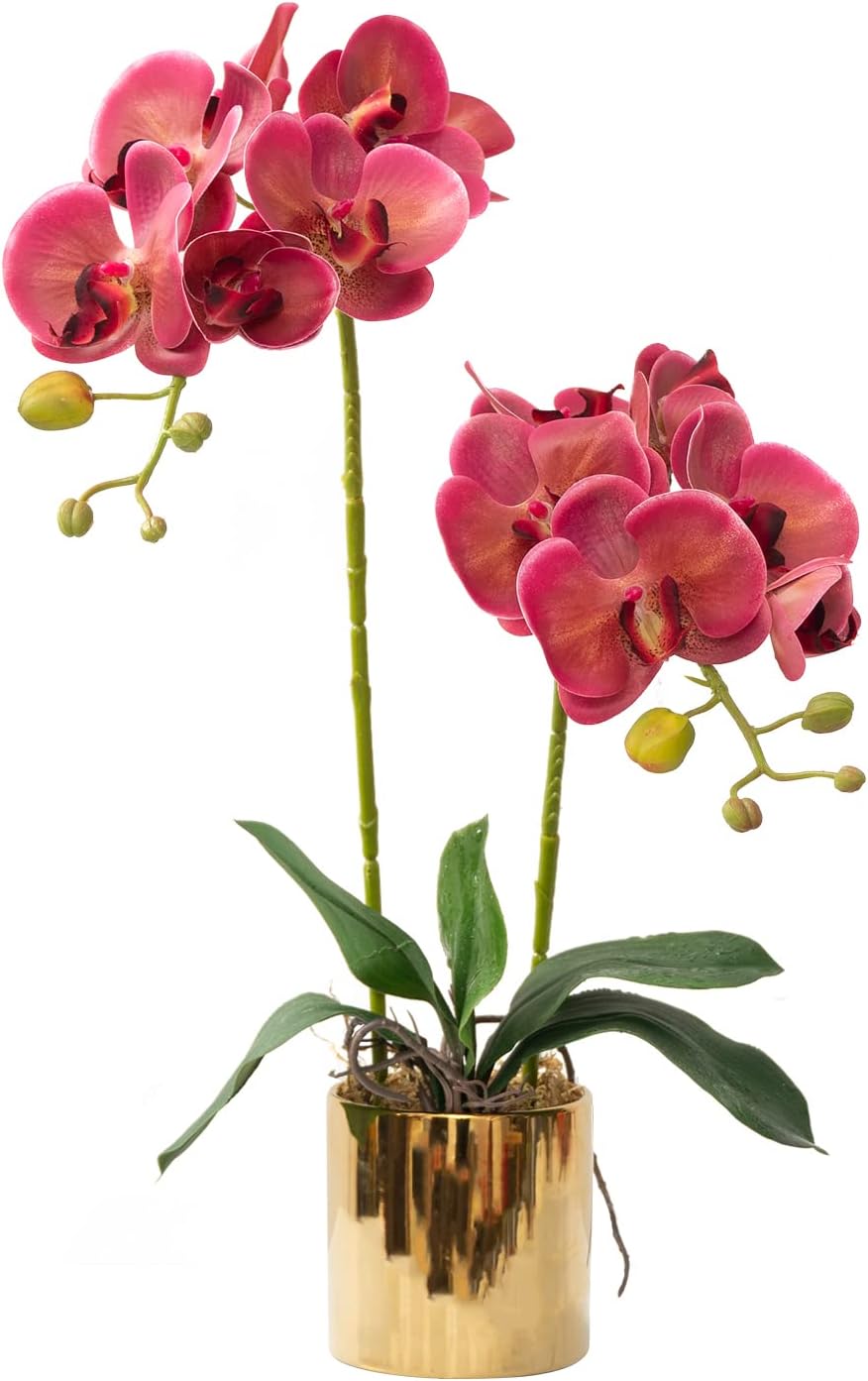 Artificial Orchid Flowers White Faux Orchids with Ceramic Vase Vivid Fake Phalaenopsis Flower Arrangement Gorgeous Artificial Plants for Office Desk Wedding Party Exhibition Center & Home Table Decor