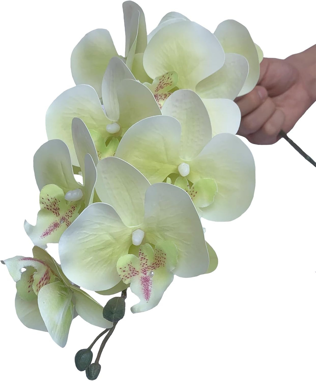 FagusHome 32" Artificial Phalaenopsis Flowers 6 Pcs with 4 Bundles Leaves Artificial Orchid Flowers Stem Plants for Home Décor (6Pcs)