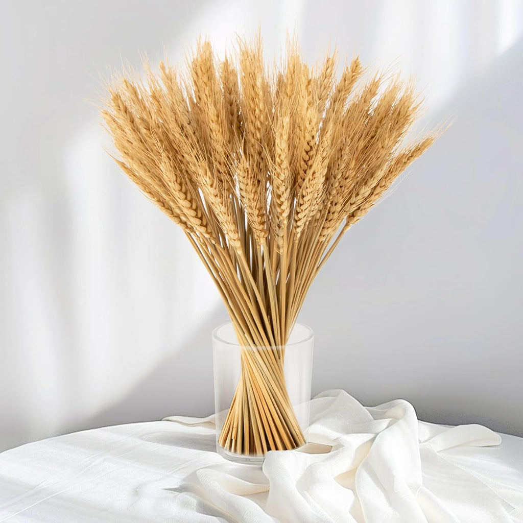 Sukh 12.9 Inches Dried Wheat Stalks - 100 Stems Natural Wheat Grass Decor Wheat Sheaves Bundle for Home Kitchen Party Wedding Office Table Flower Arrangement Art DIY Craft