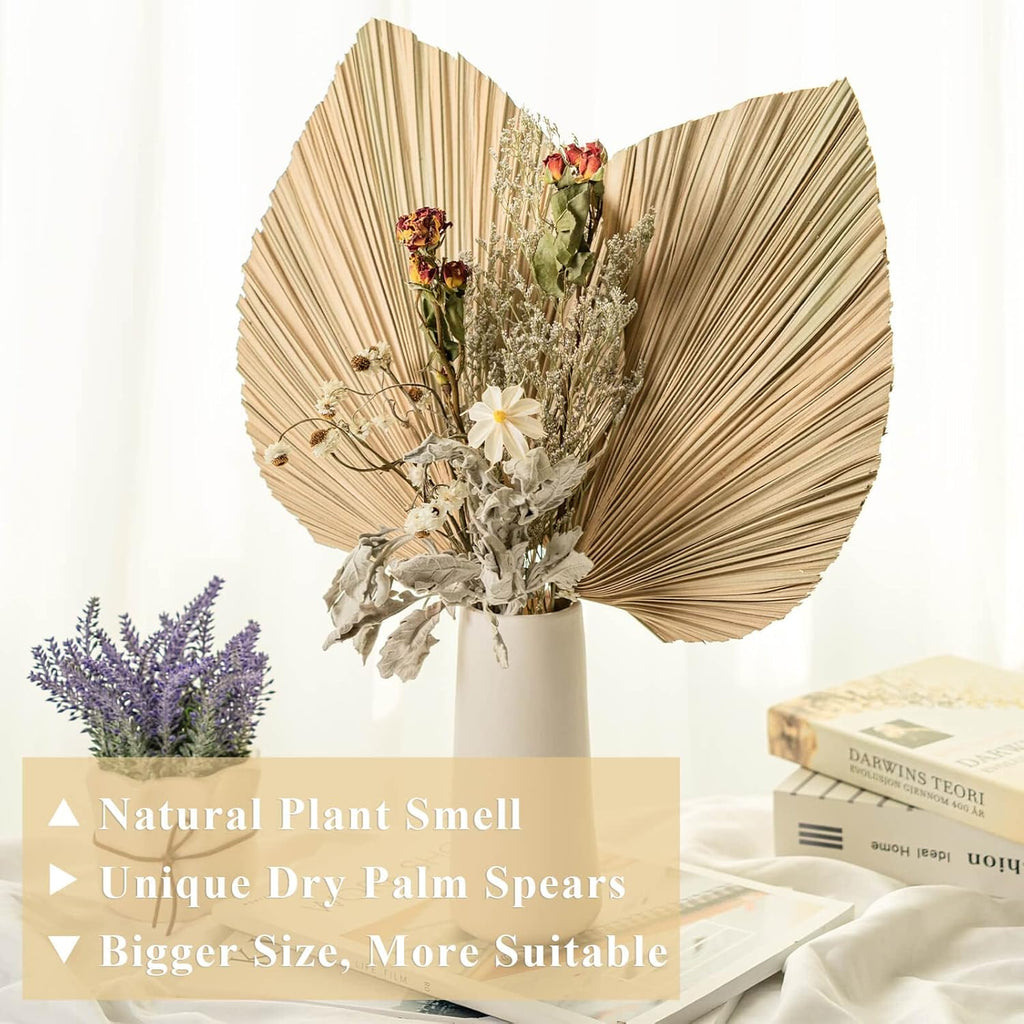 CLESDF Dried Palm Leaves Decor, 6Pcs Natural Tropical Palm Leaves, Boho Art Wall Hanging Palm Spears, Trimmed Palm Leaves for Weddings Bedroom Wall Decoration