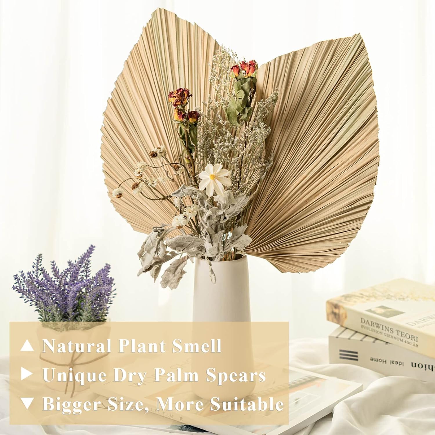 CLESDF Dried Palm Leaves Decor, 6Pcs Natural Tropical Palm Leaves, Boho Art Wall Hanging Palm Spears, Trimmed Palm Leaves for Weddings Bedroom Wall Decoration