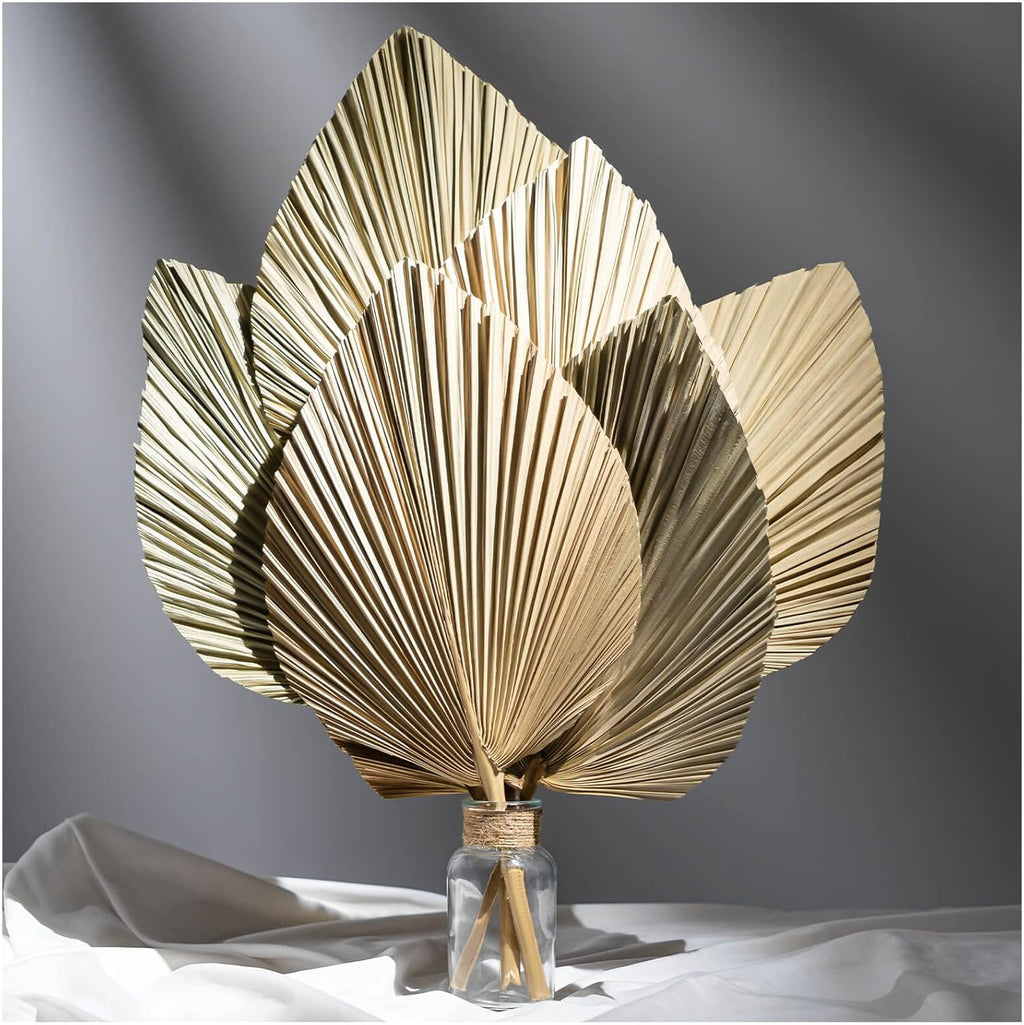 CLESDF Dried Palm Leaves Decor, 6Pcs Natural Tropical Palm Leaves, Boho Art Wall Hanging Palm Spears, Trimmed Palm Leaves for Weddings Bedroom Wall Decoration