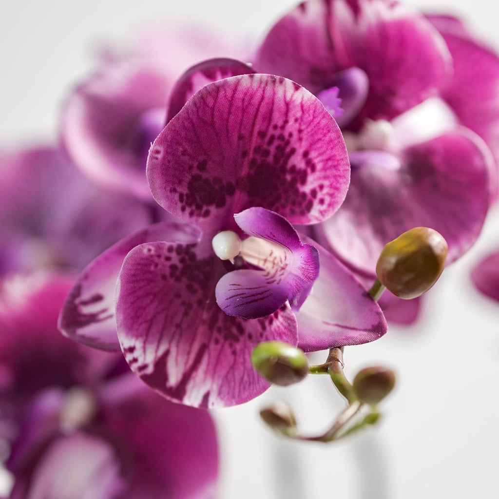 DUYONE 35 Inch Artificial Butterfly Orchid Flowers 4 Pcs with 4 Bundles Leaves Artificial Orchid Flowers Stem Plants for Home Décor (Light Purple 4pcs)