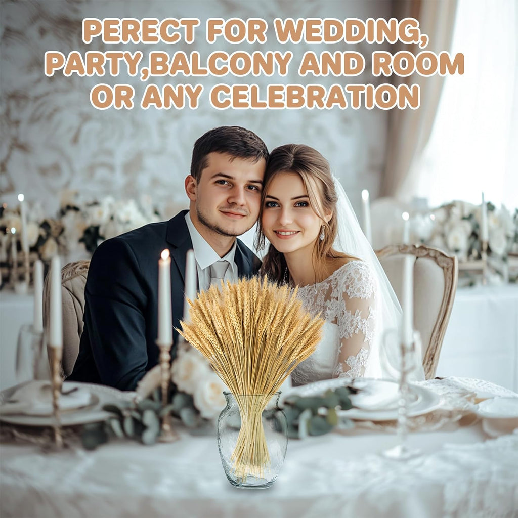 Sukh 12.9 Inches Dried Wheat Stalks - 100 Stems Natural Wheat Grass Decor Wheat Sheaves Bundle for Home Kitchen Party Wedding Office Table Flower Arrangement Art DIY Craft