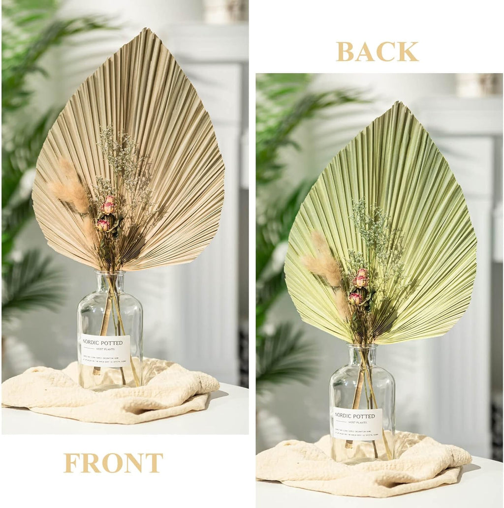 CLESDF Dried Palm Leaves Decor, 6Pcs Natural Tropical Palm Leaves, Boho Art Wall Hanging Palm Spears, Trimmed Palm Leaves for Weddings Bedroom Wall Decoration