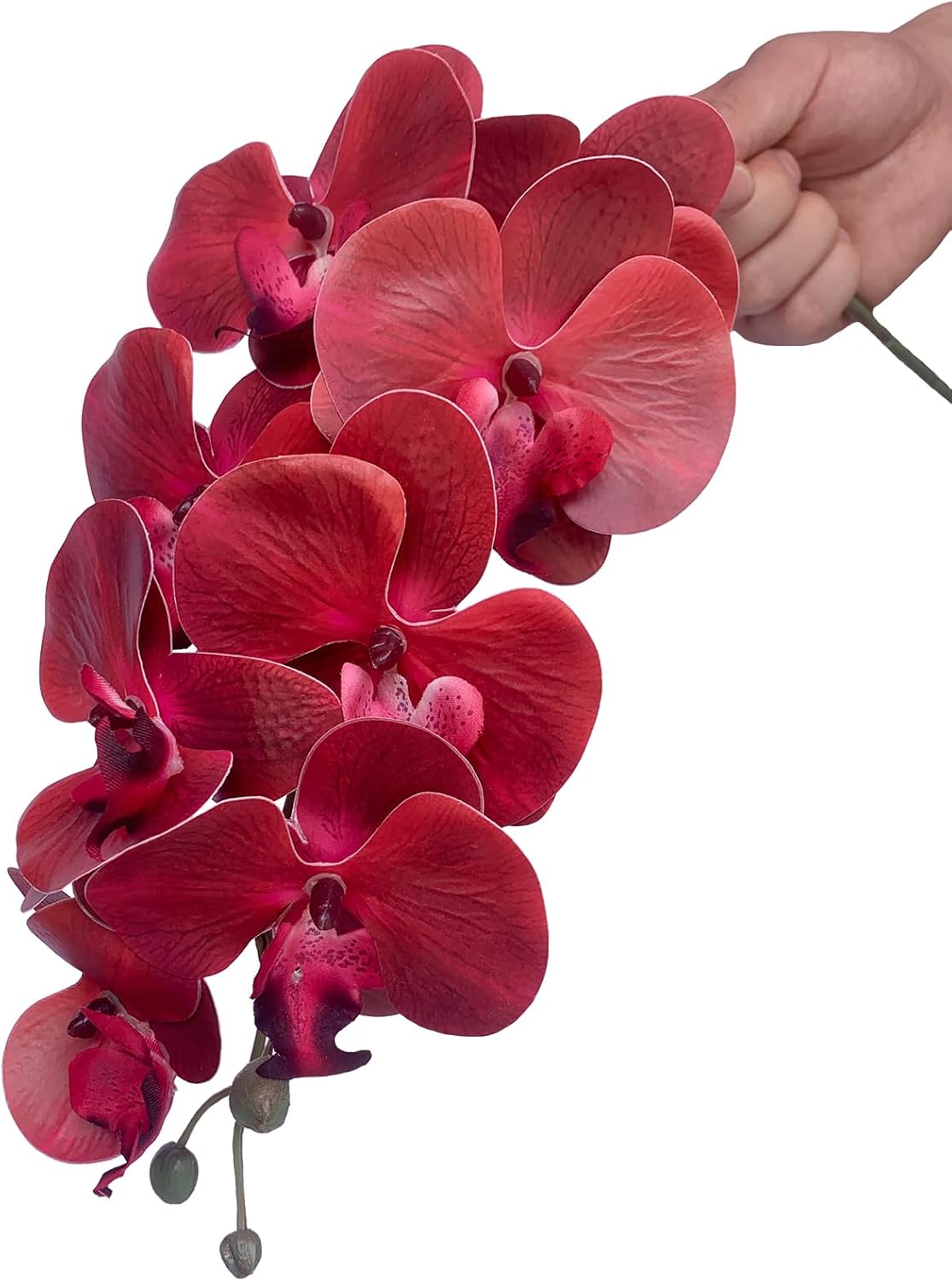 FagusHome 32" Artificial Phalaenopsis Flowers 6 Pcs with 4 Bundles Leaves Artificial Orchid Flowers Stem Plants for Home Décor (6Pcs)