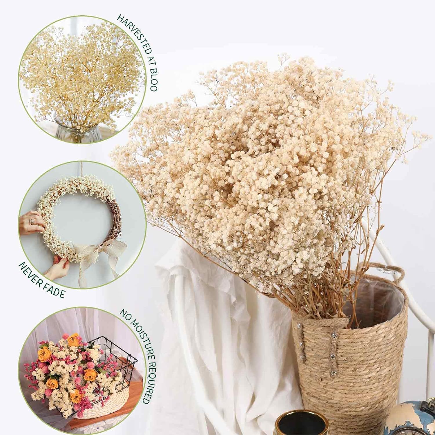 Jtoder Dried Babys Breath Flowers Bouquet-17 Inch 2500+ Ivory White Dry Flowers, Natural Gypsophila Branches for Wedding, Table Vase Decor, DIY Wreath Floral, Home Office Party Garden Decoration (3oz)