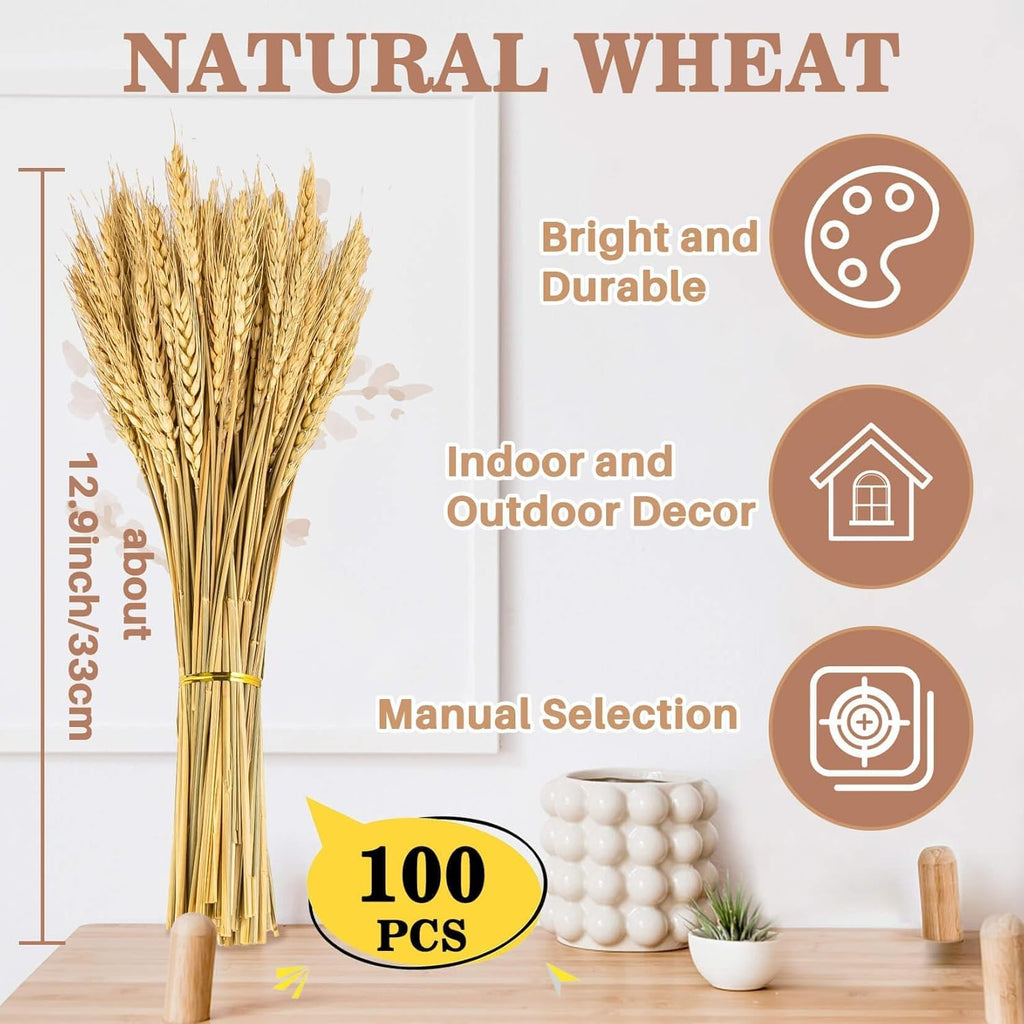 Sukh 12.9 Inches Dried Wheat Stalks - 100 Stems Natural Wheat Grass Decor Wheat Sheaves Bundle for Home Kitchen Party Wedding Office Table Flower Arrangement Art DIY Craft