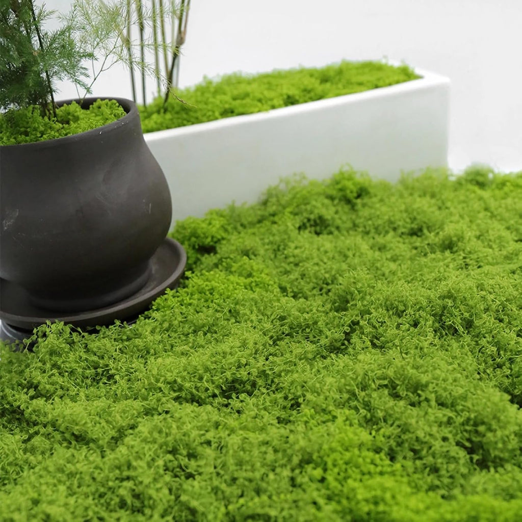 Evlasumflow Artificial Moss Filler for Planters Green Fake Moss for Scene Layout and Landscaping Faux Moss Decor