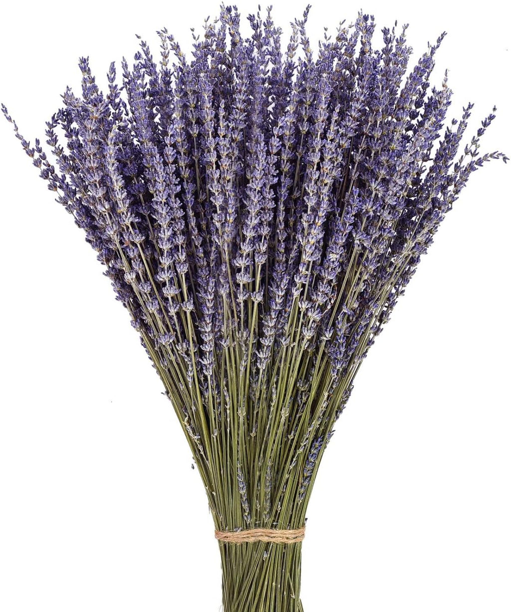 June Fox Dried Lavender Flowers 270-300 Stems 100% Natural Dried Lavender Bunches for Home Decoration, Home Fragrance, Handmade Soap Flower