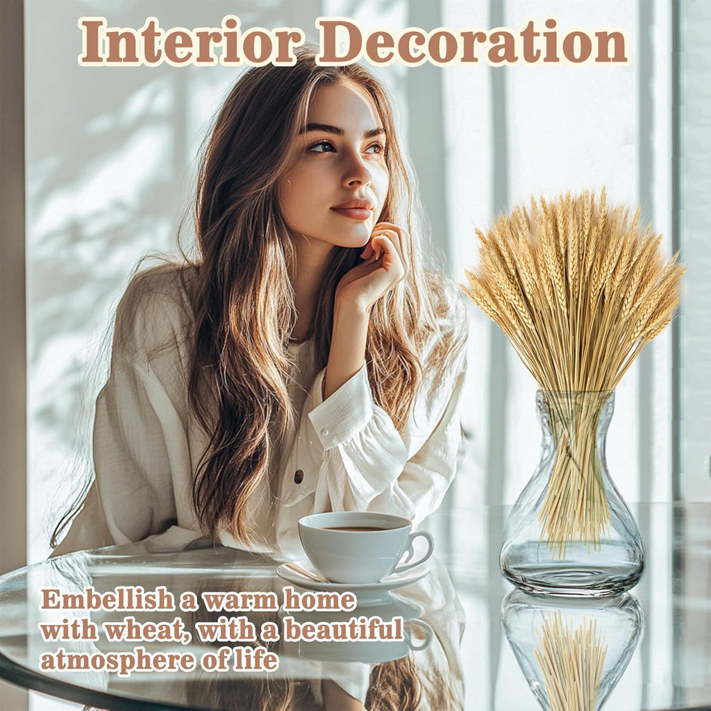 Sukh 12.9 Inches Dried Wheat Stalks - 100 Stems Natural Wheat Grass Decor Wheat Sheaves Bundle for Home Kitchen Party Wedding Office Table Flower Arrangement Art DIY Craft