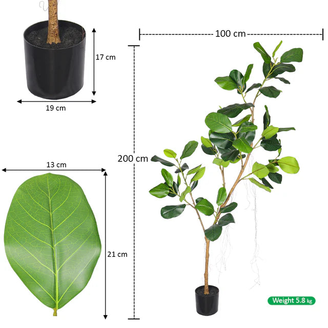 Nearly Natural Fiddle Plant 2m High