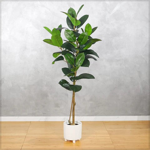 Faux Rubber Plant 140cm Tall