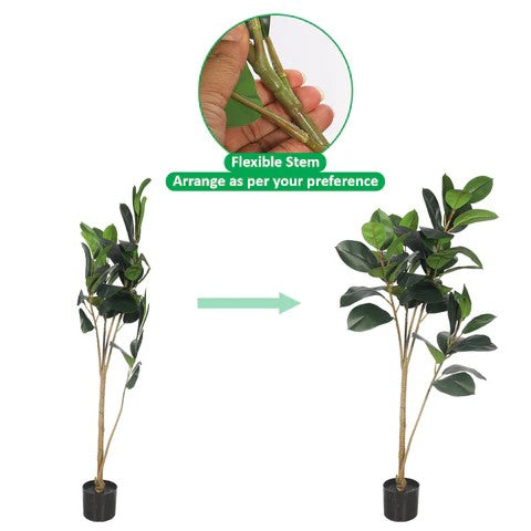 Faux Rubber Plant 140cm Tall