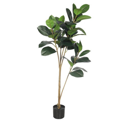 Faux Rubber Plant 140cm Tall