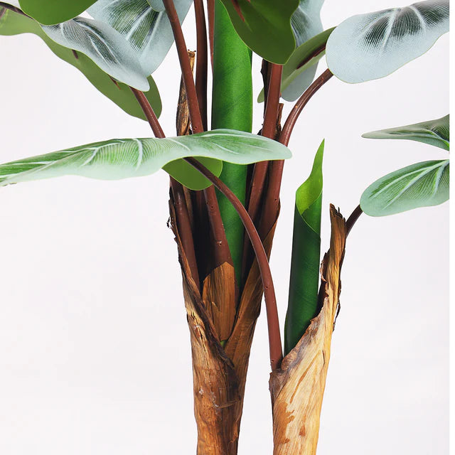 Artificial Taro Plant 70cm High