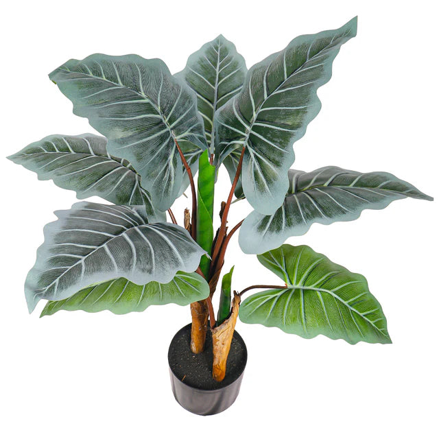 Artificial Taro Plant 70cm High